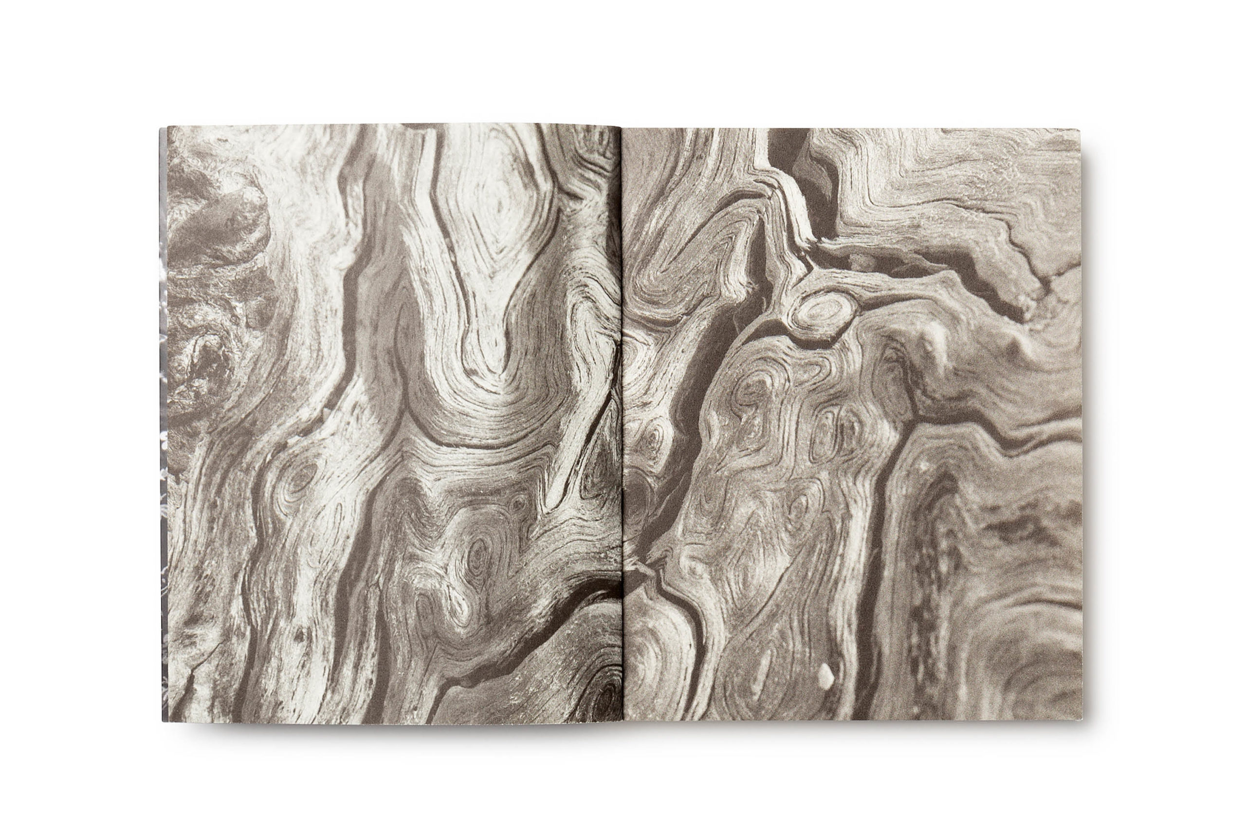 Mirinda-company-magokoro