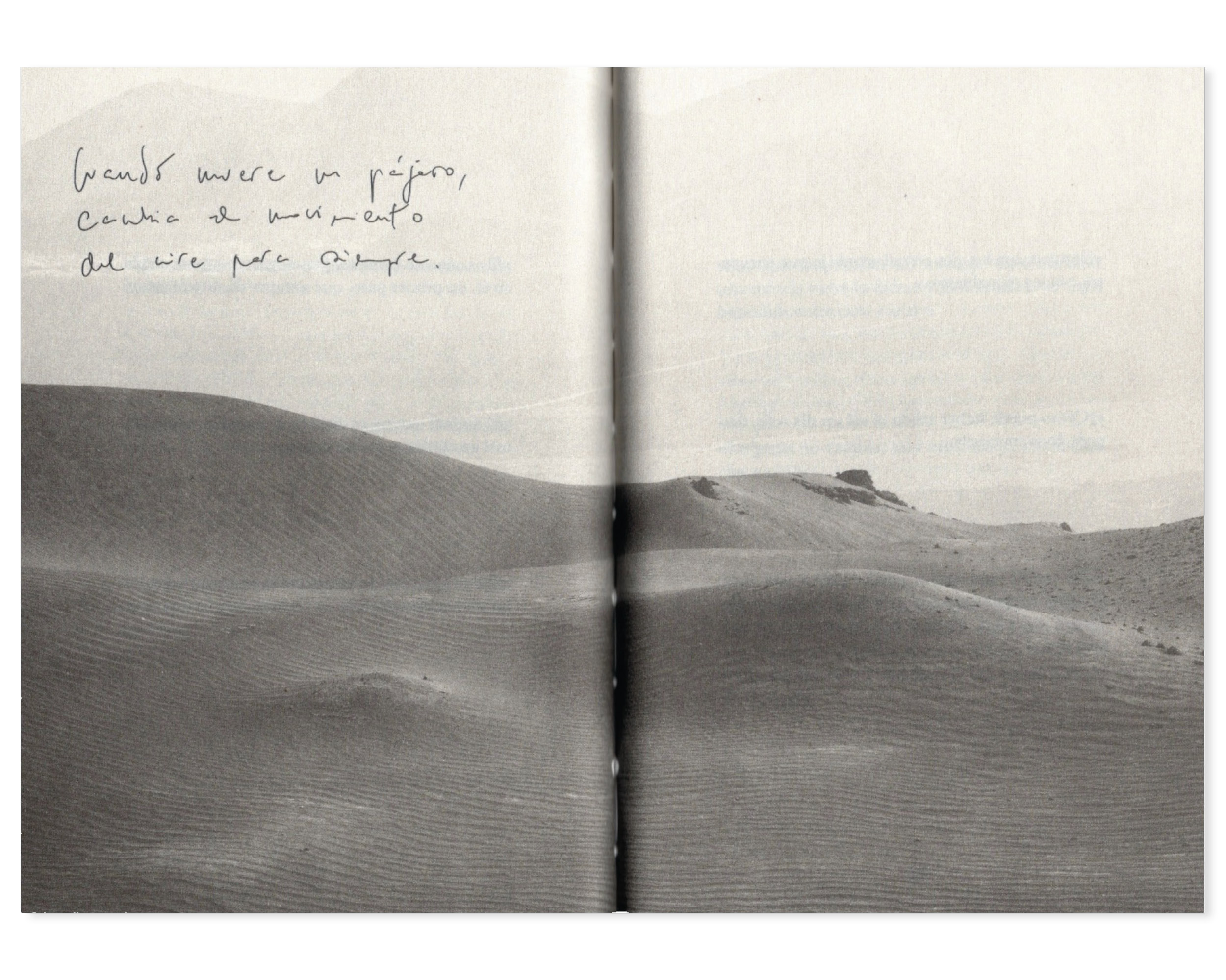 Mirinda-Company-pensamientos-haru