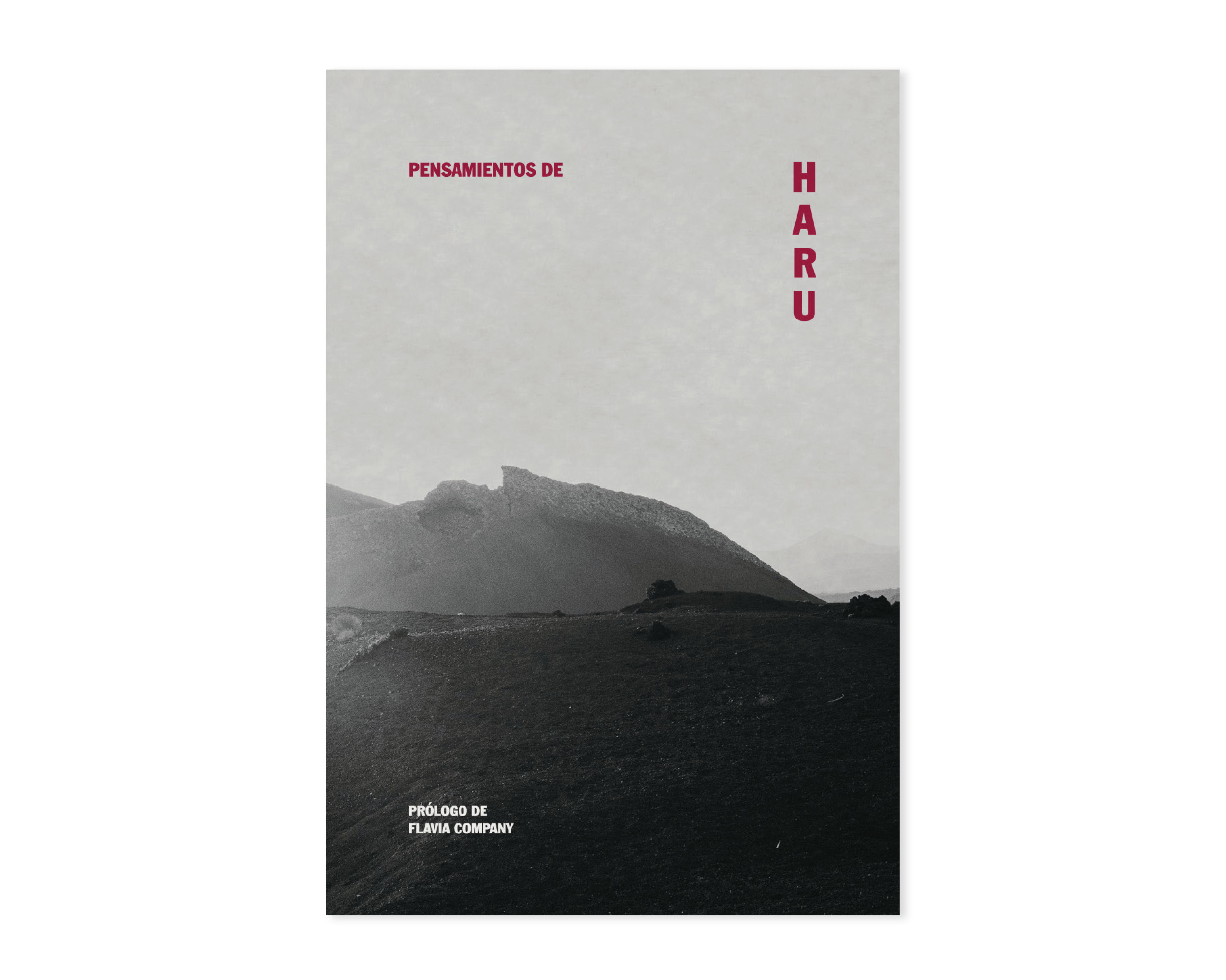 Mirinda-Company-pensamientos-haru