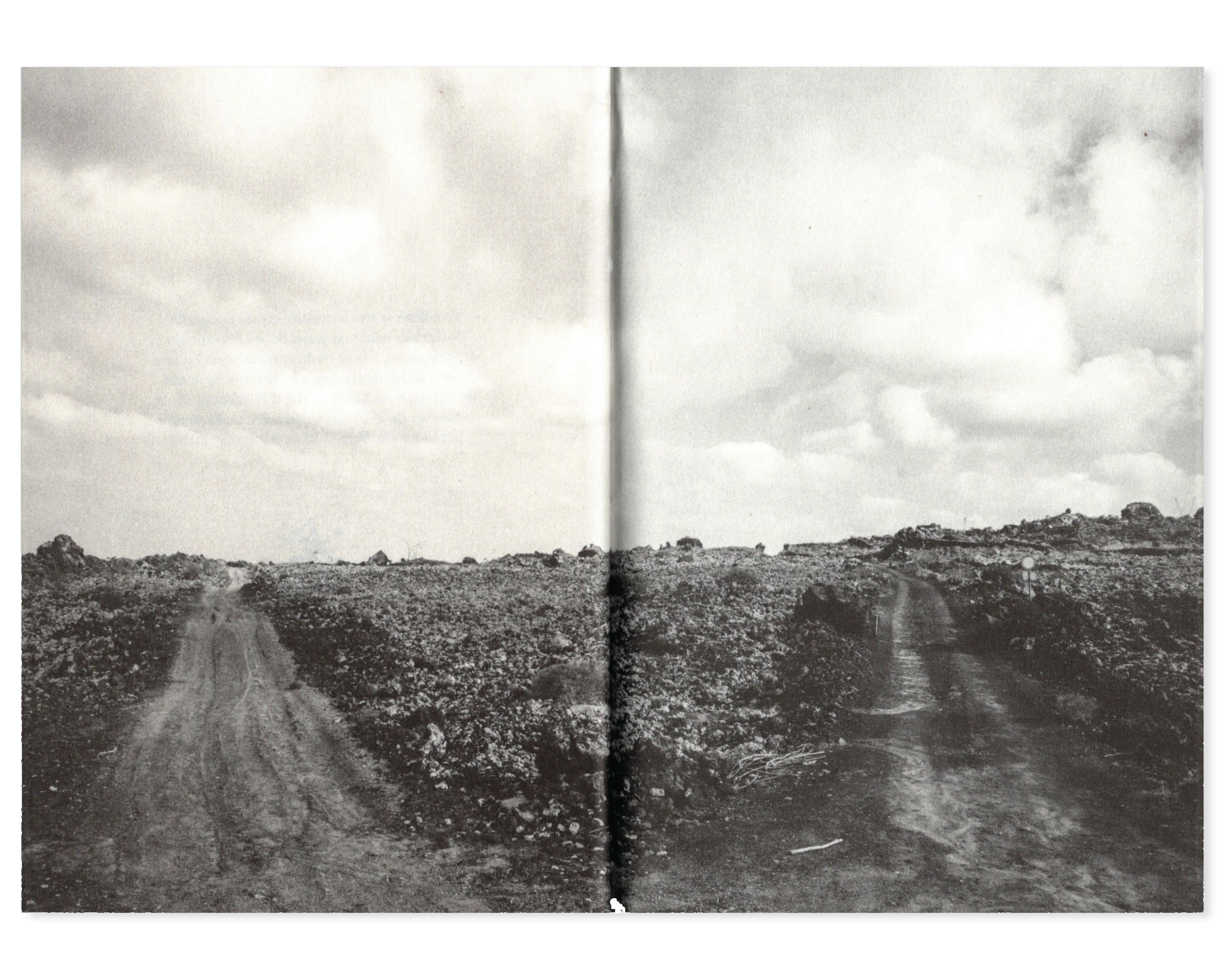 Mirinda-Company-pensamientos-haru